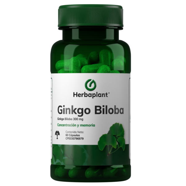 Ginkgo Biloba 300 mg 60 Cápsulas