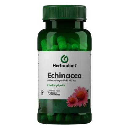 Echinacea - Estados Gripales 390 mg